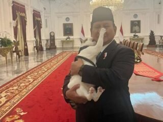 Presiden Prabowo dan Kucing Kesayangannya: Momen Menggemaskan yang Viral di Instagram